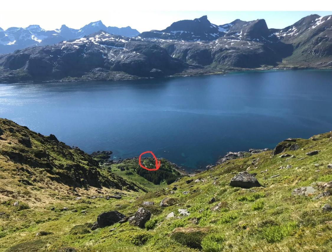 Vettinghytta, Close To The Sea With Amazing View. Gravdal  Exterior foto