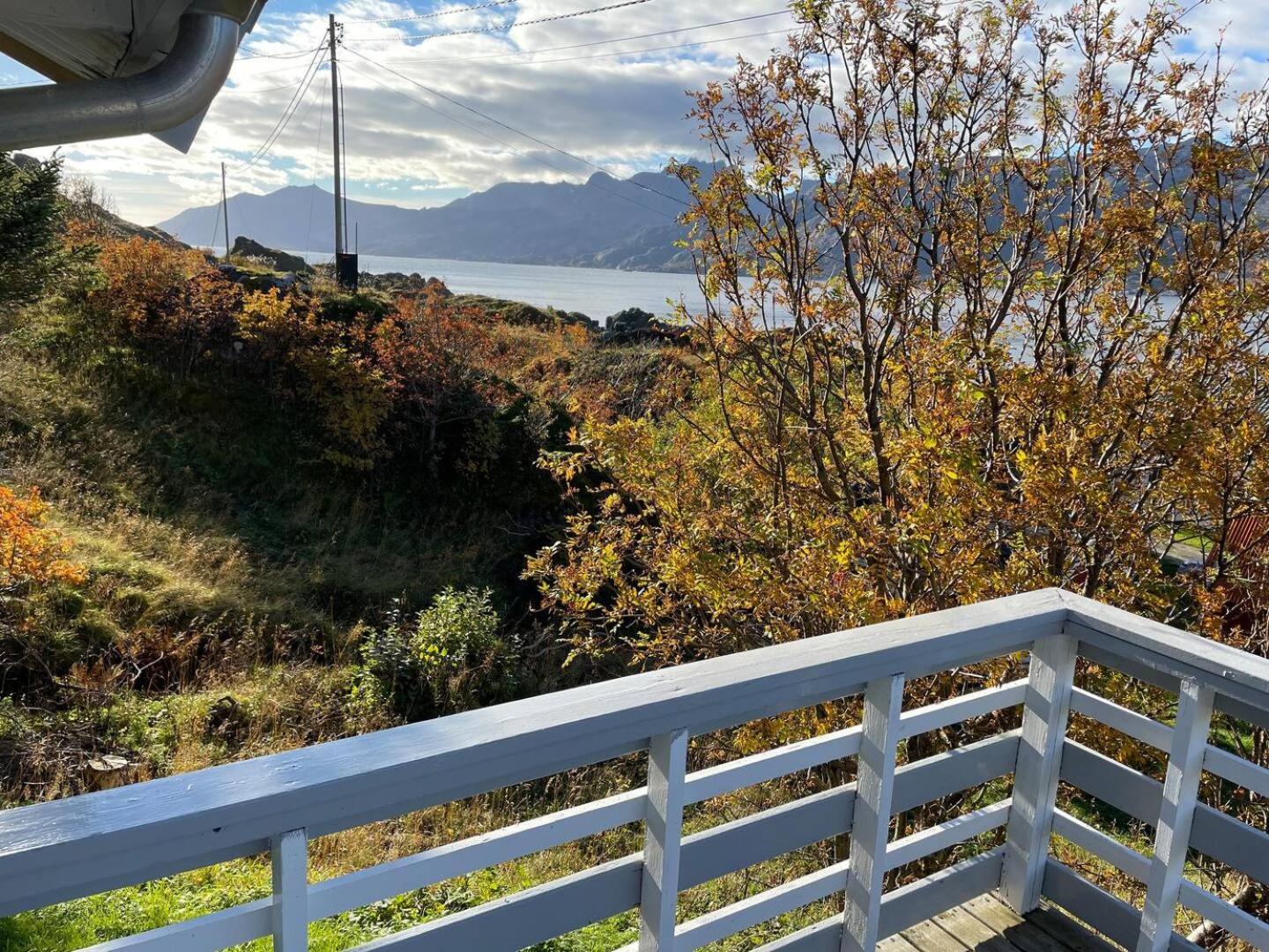 Vettinghytta, Close To The Sea With Amazing View. Gravdal  Exterior foto